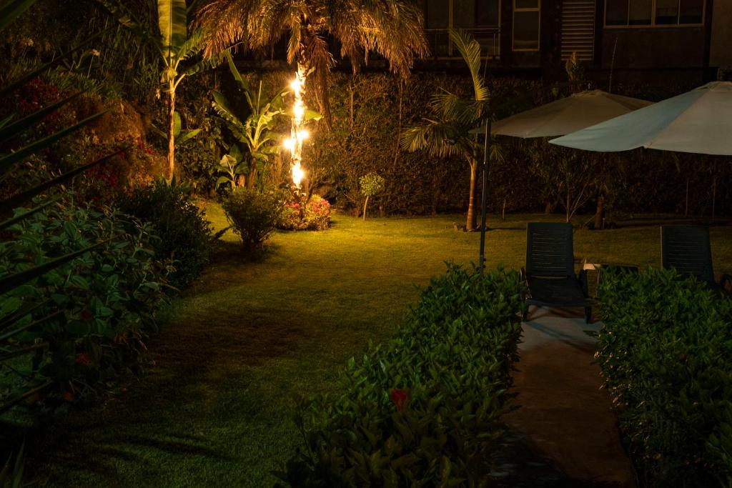 a garden at night with an umbrella and chairs at Casa da Quinta in Vila Franca do Campo