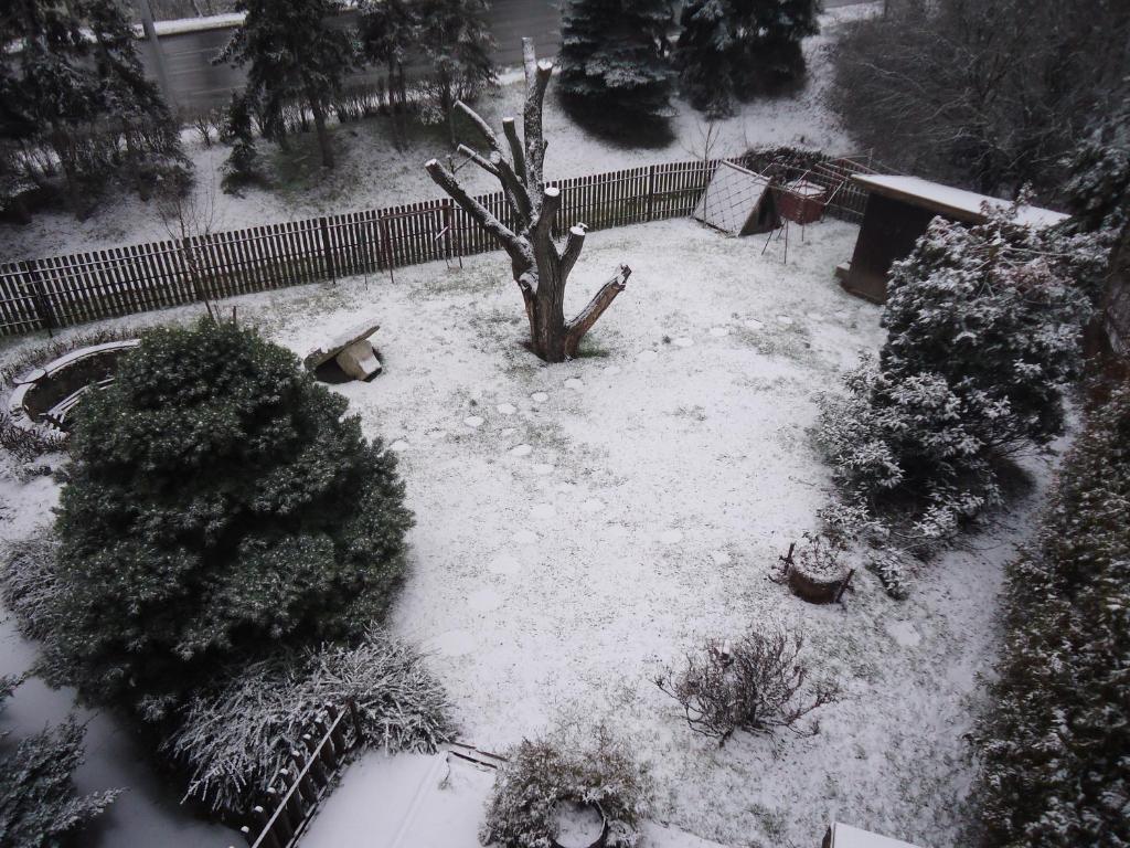 Cola Panzió v zimě