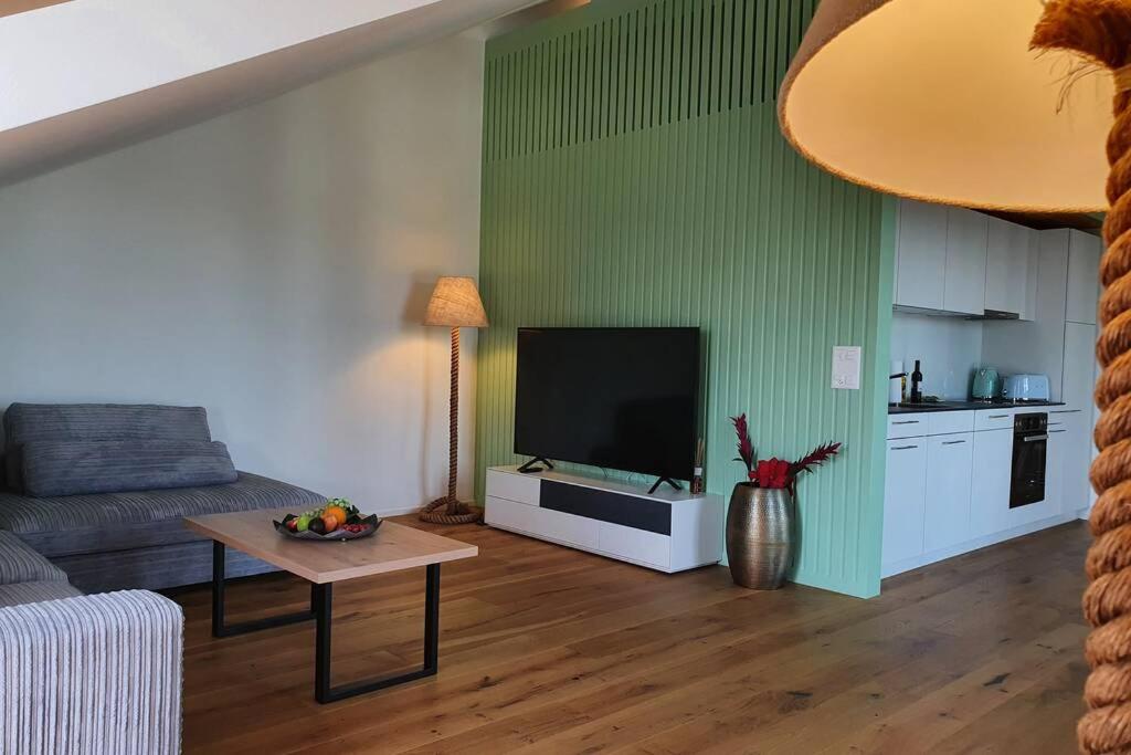 TV a/nebo společenská místnost v ubytování Wohnstation DIAMOND SUITE
