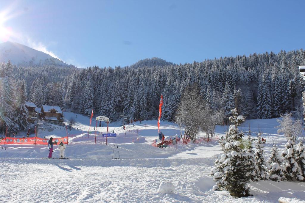 Résidence Saboia B57 Clés Blanches Courchevel v zimě