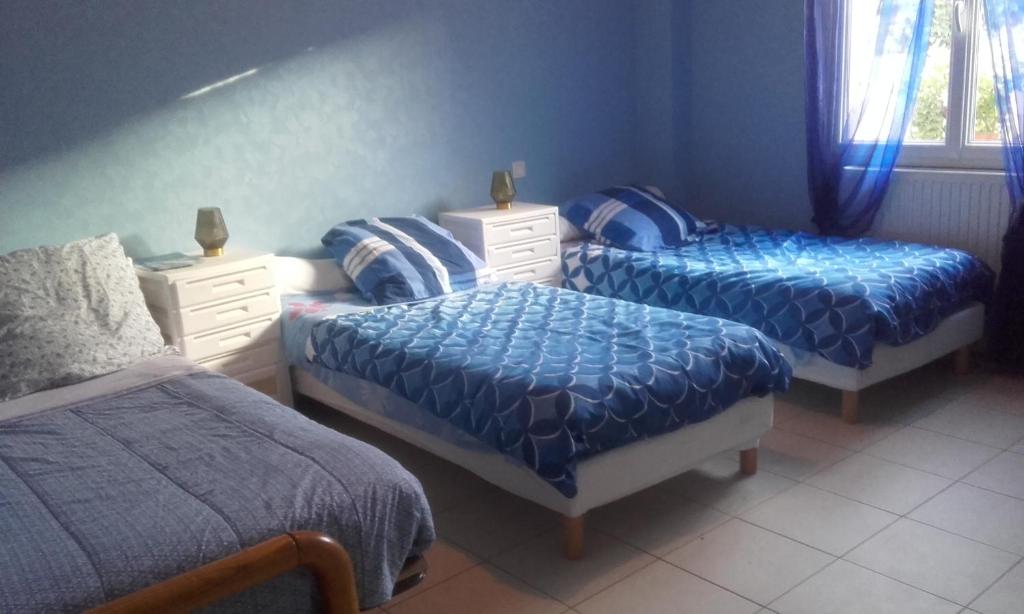 a bedroom with two twin beds and blue sheets at Les chambres de la Bosse in La Bosse