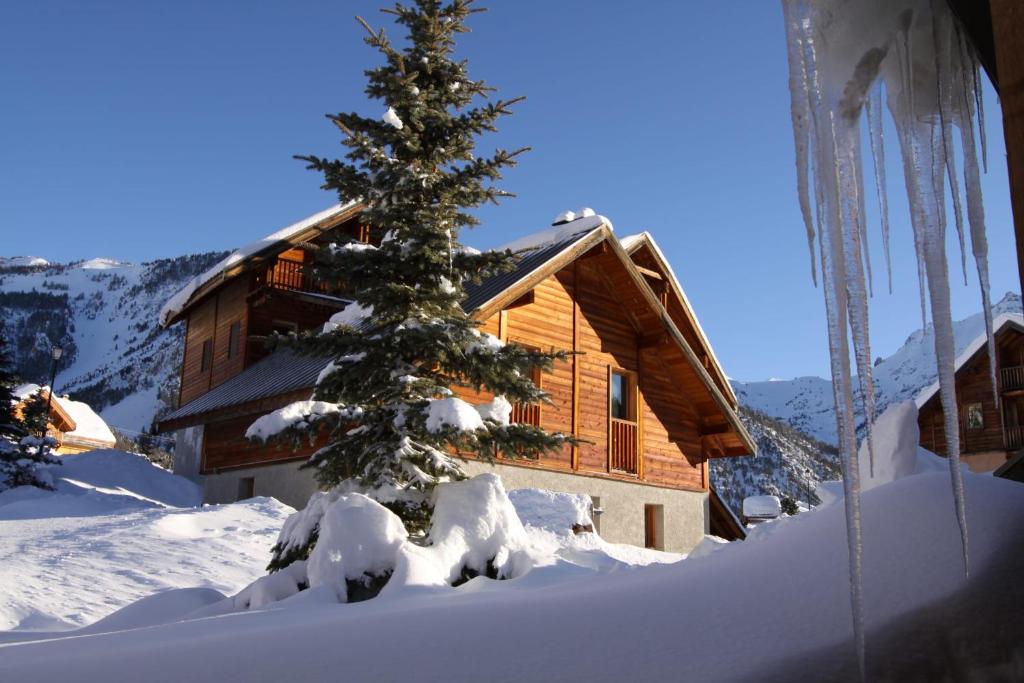 a snow covered tree in front of a log cabin at Le Pignotto Hameau des Chazals Nevache Hautes Alpes in Névache