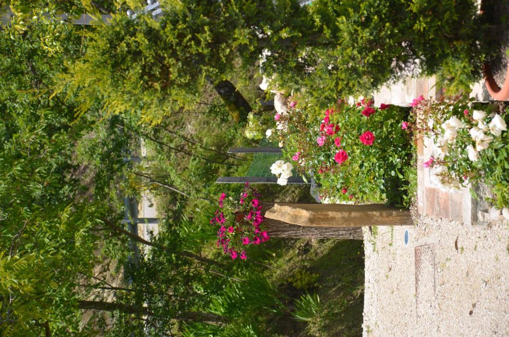 B&B La Terrazza Del Subasio - 10