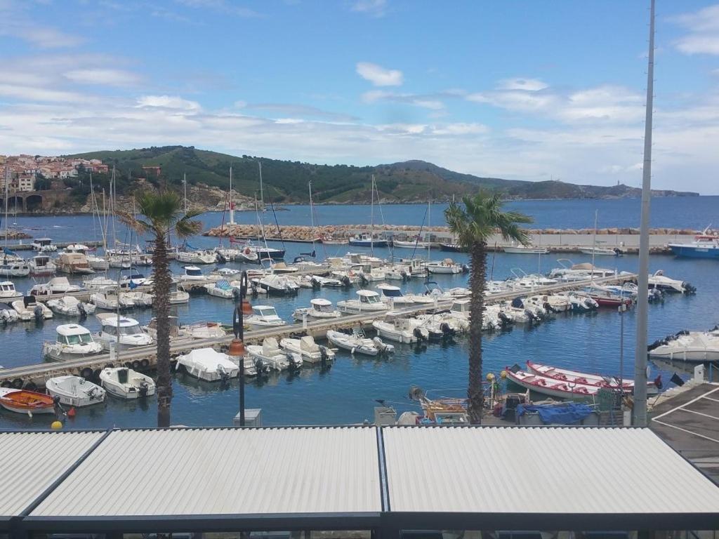 Résidence La Grande Voile, Banyuls-sur-Mer – Updated 2023 Prices