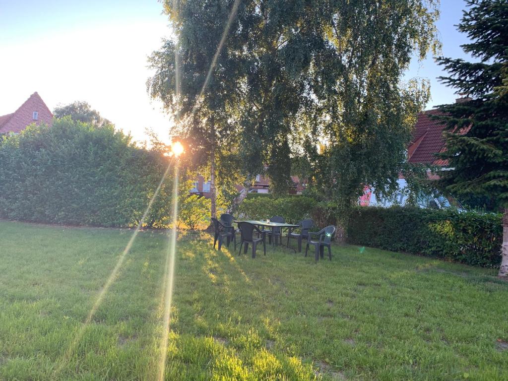 een gazon met een tafel en stoelen onder een boom bij Eschen´s Blick in Aurich