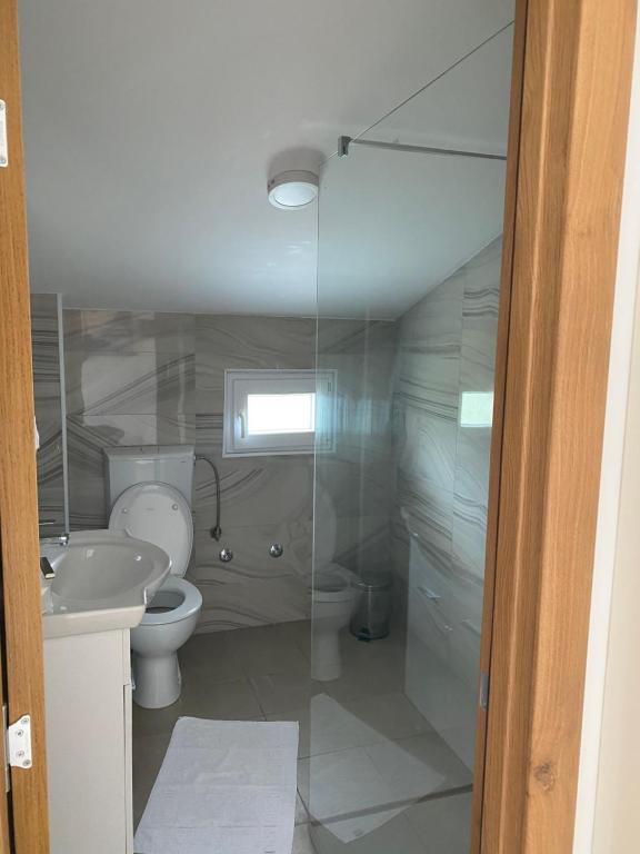a bathroom with a toilet and a sink at Apartments Boss in Budva