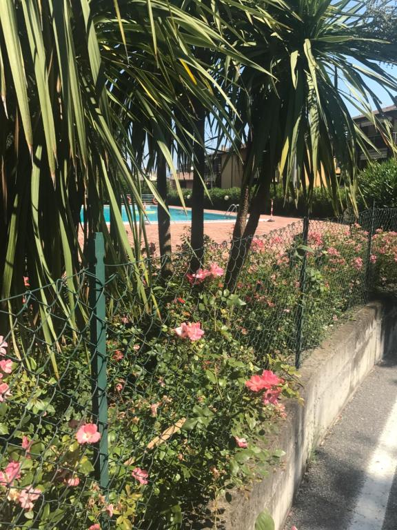 une clôture avec des fleurs roses en face d'une piscine dans l'établissement antonellagardalake, à Desenzano del Garda