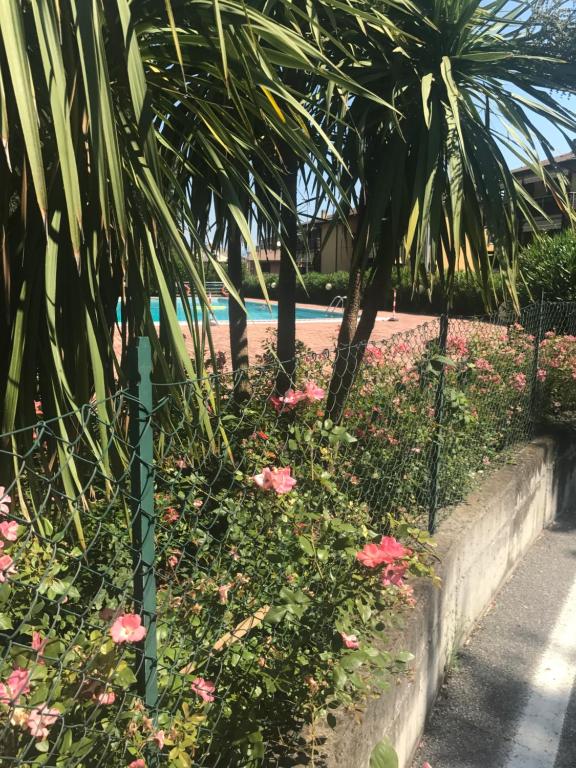 einen Zaun mit rosa Blumen vor einem Pool in der Unterkunft antonellagardalake in Desenzano del Garda