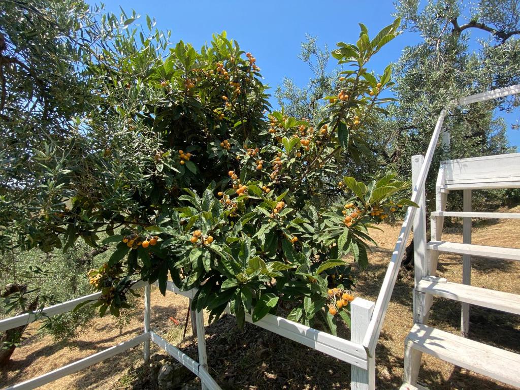 Zahrada ubytování I Giardini Di Margius
