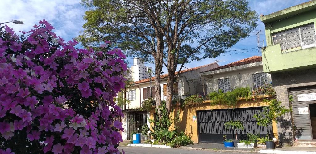  Micasa Hostel - Congonhas