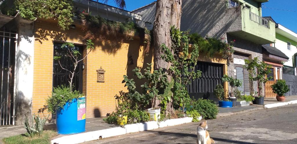  Micasa Hostel - Congonhas