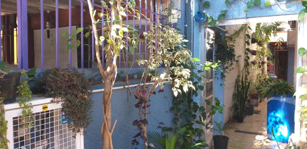  Micasa Hostel - Congonhas