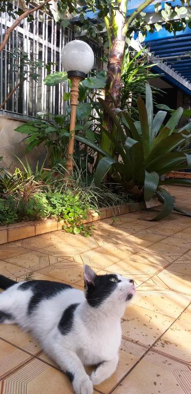  Micasa Hostel - Congonhas