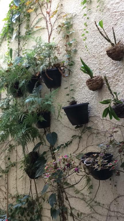  Micasa Hostel - Congonhas