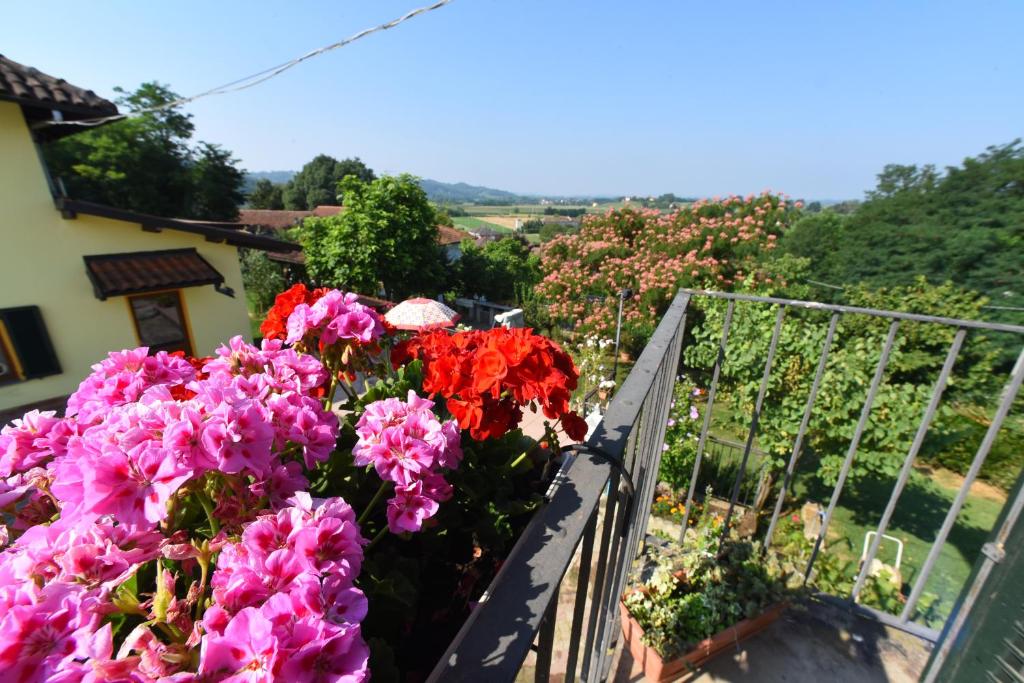 Vonkajšia záhrada v ubytovaní B&B La Riundela
