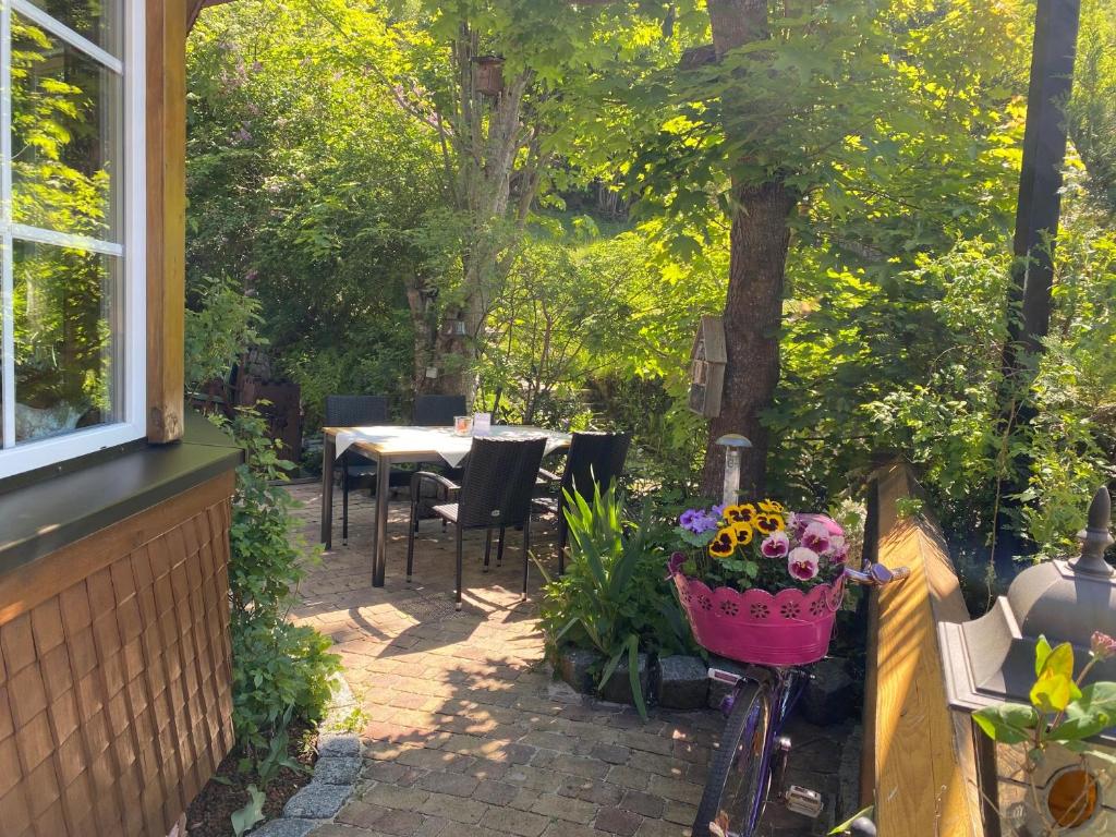 Zahrada ubytování Hotel Hirschen