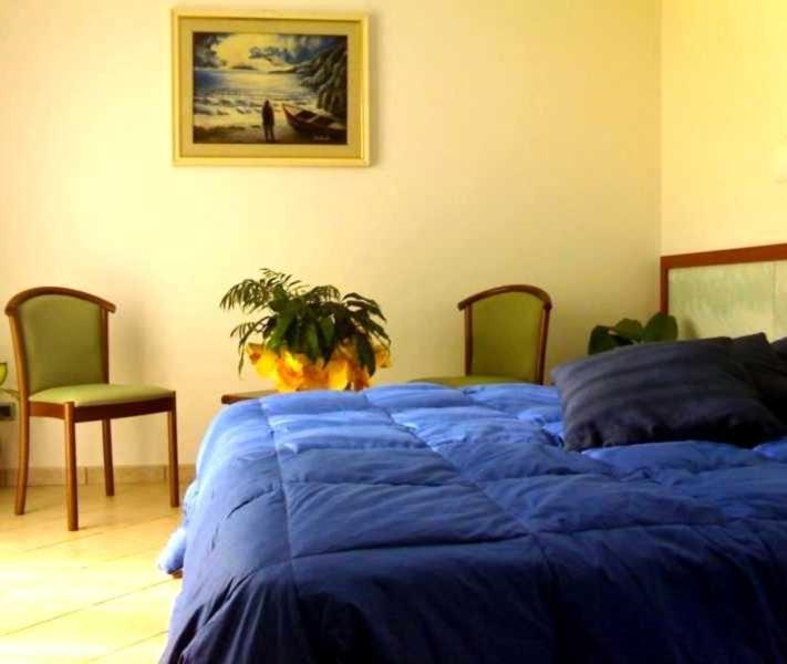 Un dormitorio con una cama azul con una planta. en Sea Garden Hotel, en Acquappesa