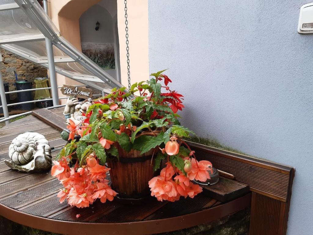un pot de fleurs assis sur une table avec des fleurs dans l'établissement Soludus-Spišský ľudový dom, à Smižany
