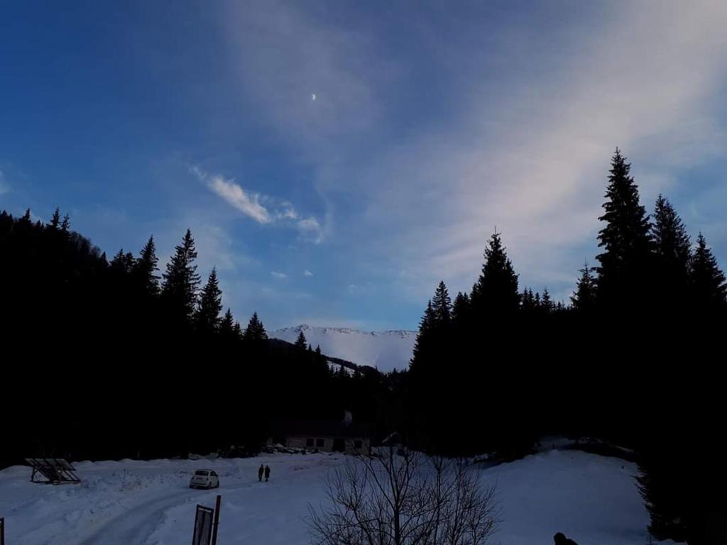 Gallery image of Căsuța din pădure de la Câmpu lui Neag in Cîmpu lui Neag