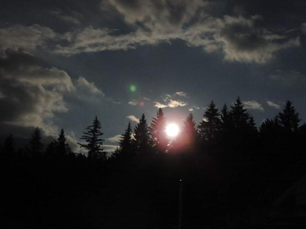 a sun shining behind some trees on a cloudy sky at Căsuța din pădure de la Câmpu lui Neag in Cîmpu lui Neag