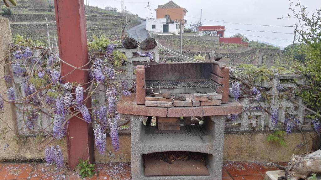 Fotografia z galérie ubytovania Casa Canarina v destinácii Santa Úrsula