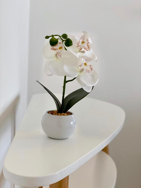 White Sand Apartments Downtown Albufeira - 10