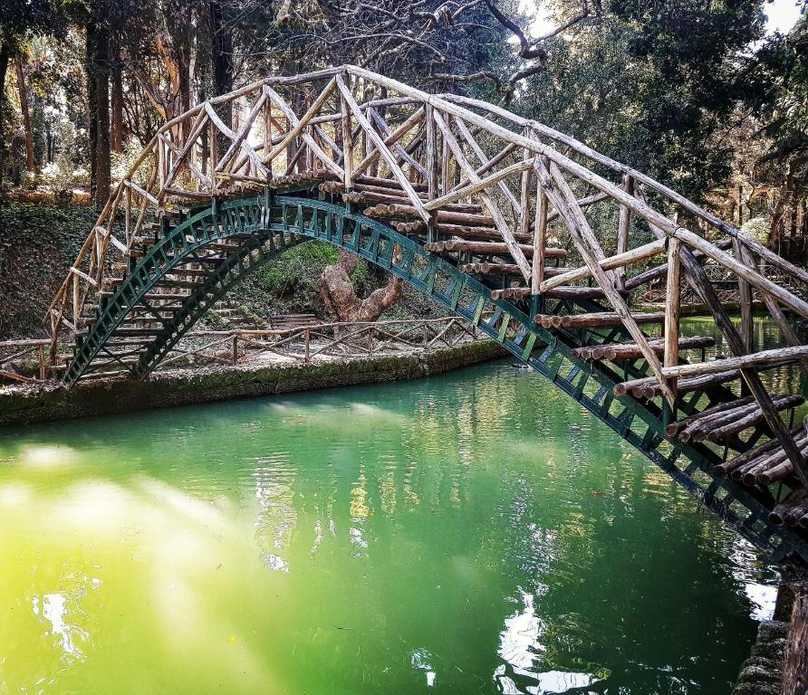 Príroda v okolí apartmánu