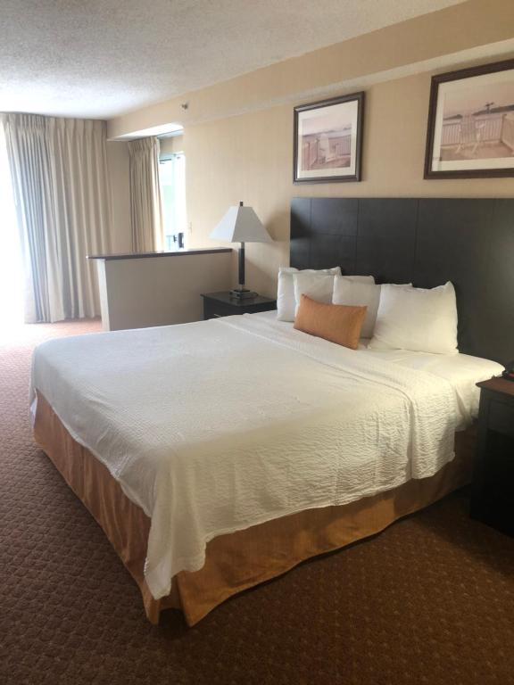 Princess Bayside Beach Hotel - Room King Con Kitchenette - Edificio Sur