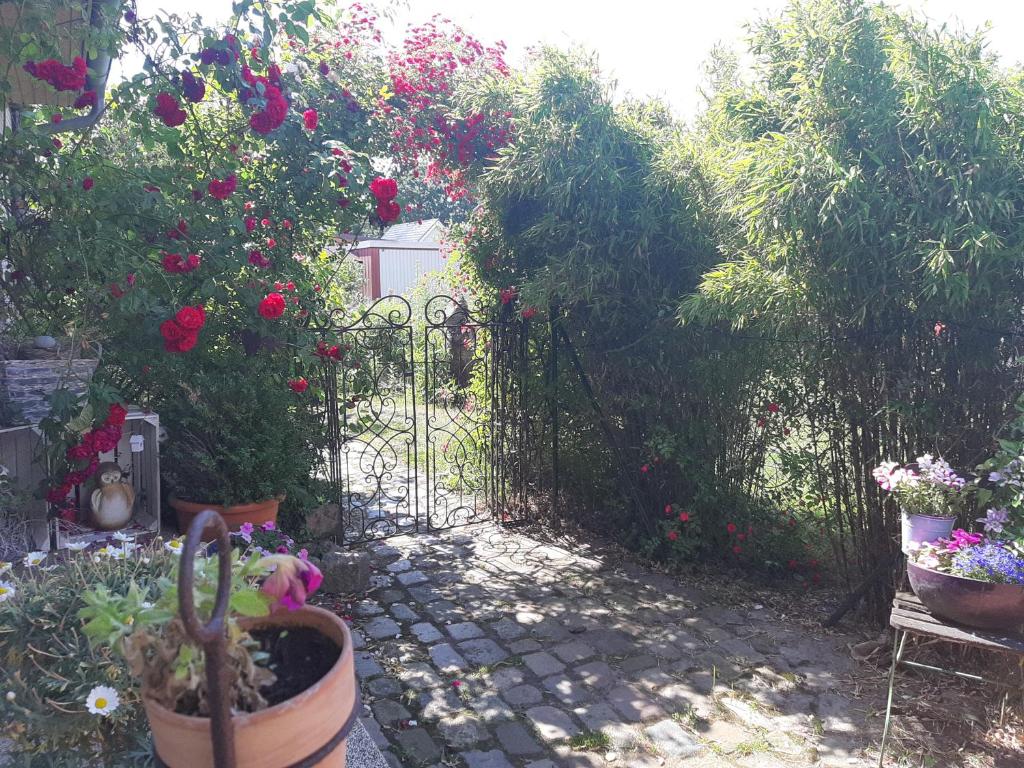 un jardín con una puerta con flores y plantas en Bassener Monteurwohnung, en Oyten