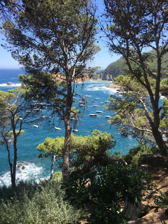 Cap Sa Sal Navy, Begur, Girona, Begur – Bijgewerkte prijzen 2022
