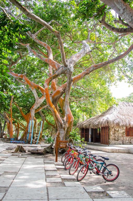 Jízda na kole v ubytování Hotel San Pedro de Majagua nebo okolí