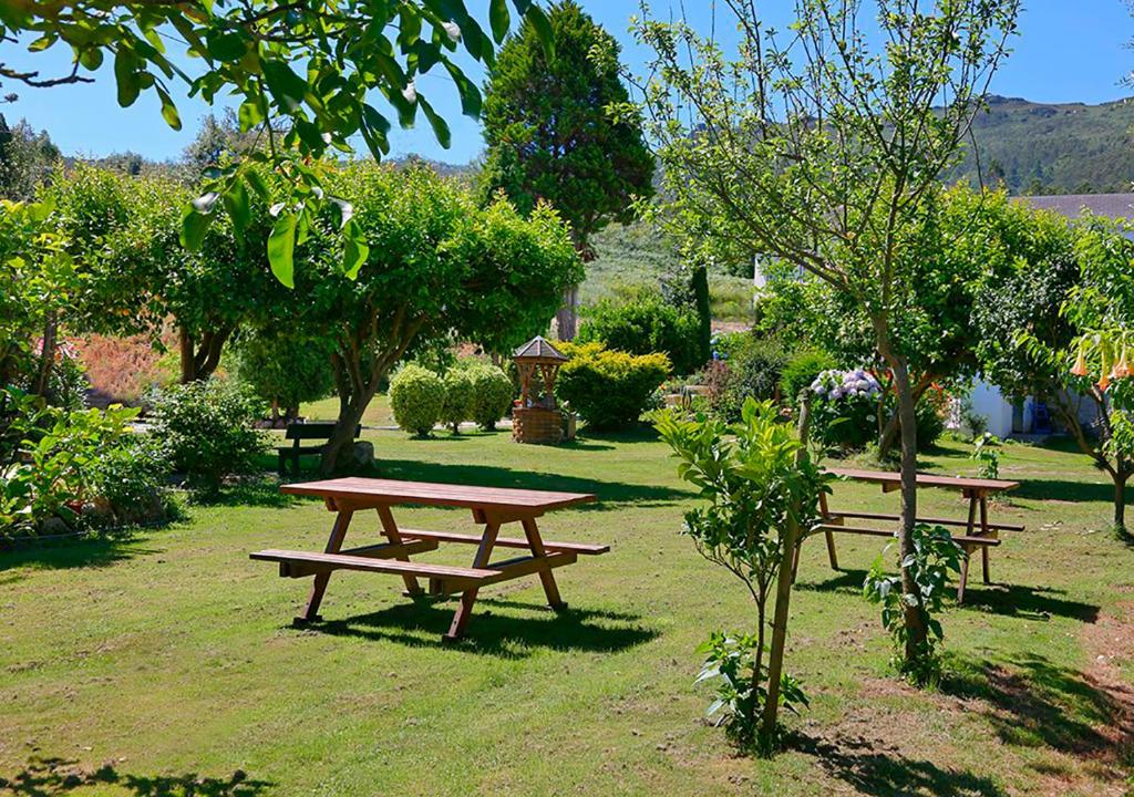 two picnic tables in a park with trees at Casa Elena Turismo Rural in Reinante