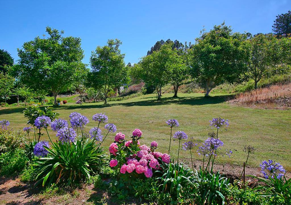 a garden with purple flowers in a field at Pensión Casa Elena in Reinante