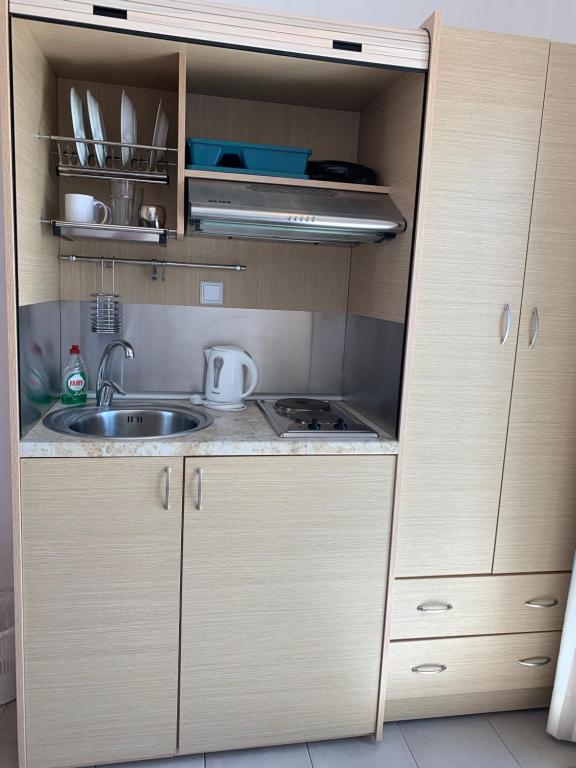 A kitchen or kitchenette at Pelagos Studios
