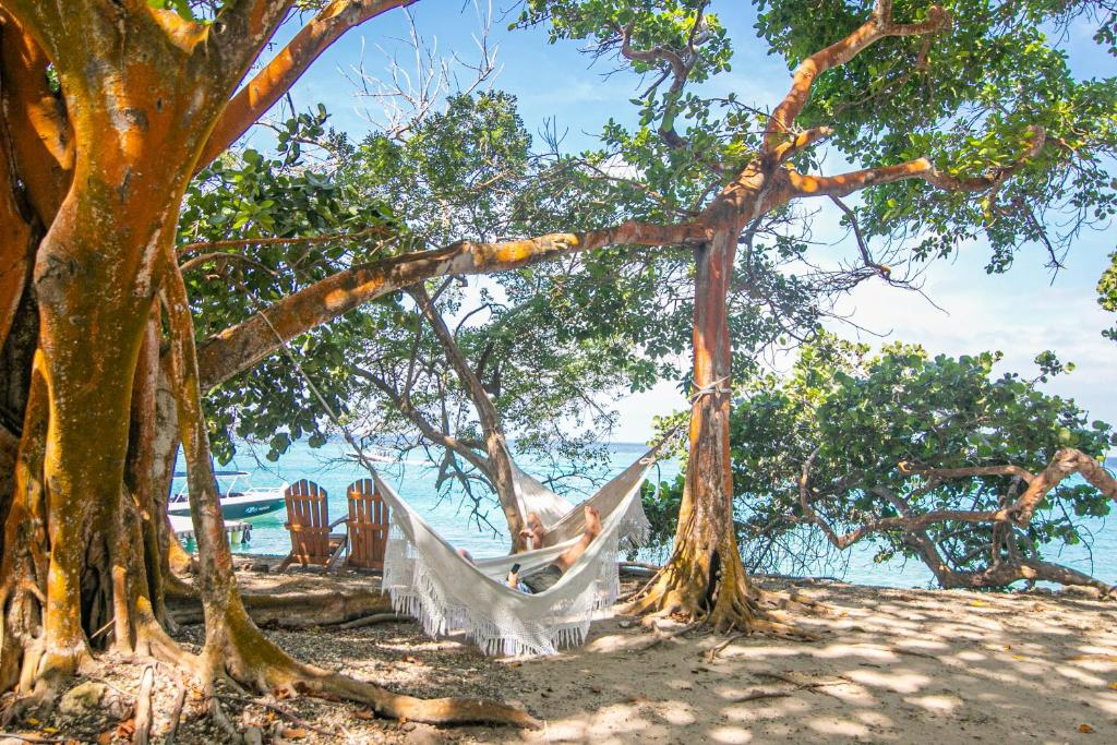 Mejores Hoteles en Isla Grande | Islas del Rosario 263005664