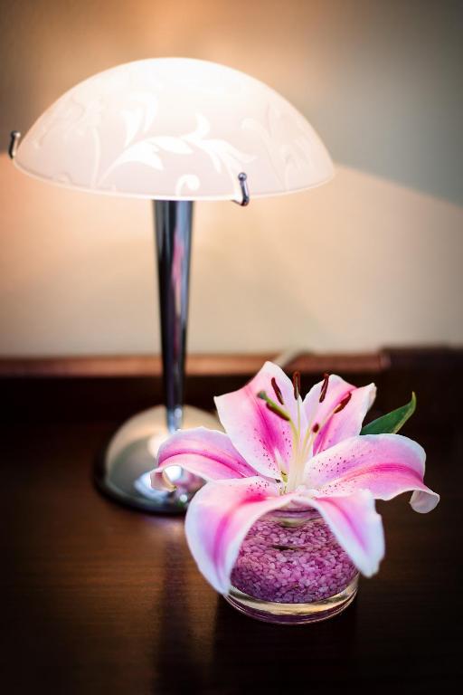 Bona Serva - Resim 25