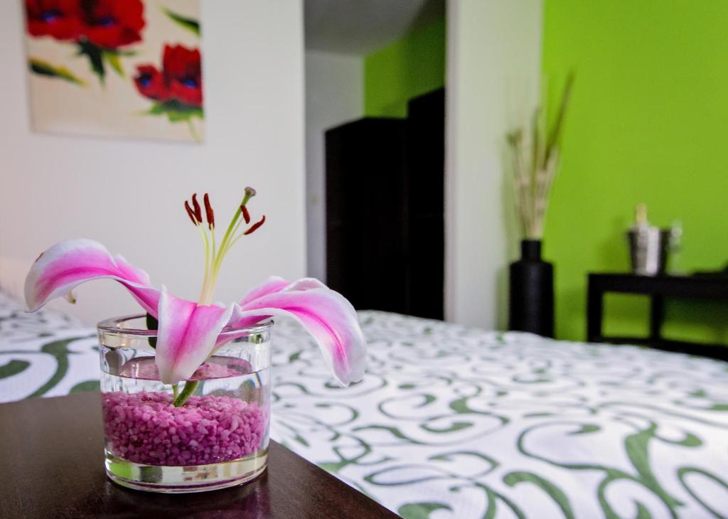 Bona Serva - Resim 19