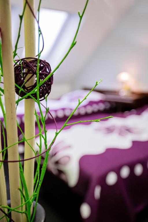 Bona Serva - Resim 16