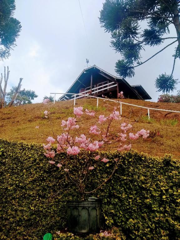  Chalé Manacá House