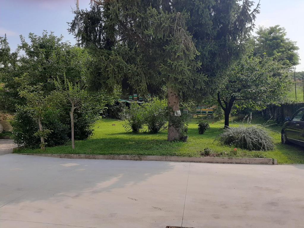 Casa Bibì - Two-Bedroom House