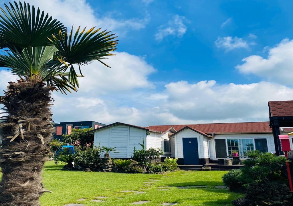 un palmier devant une maison dans l'établissement Jeju Haepoomdal Pension, à Jeju