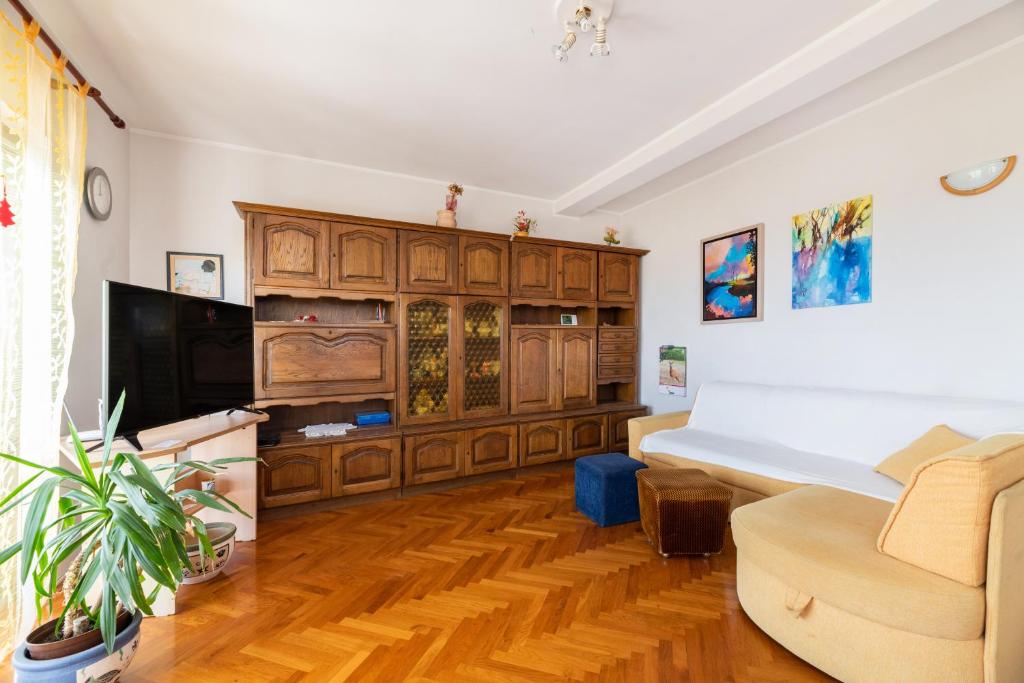 Televízia a/alebo spoločenská miestnosť v ubytovaní Apartman Petelin