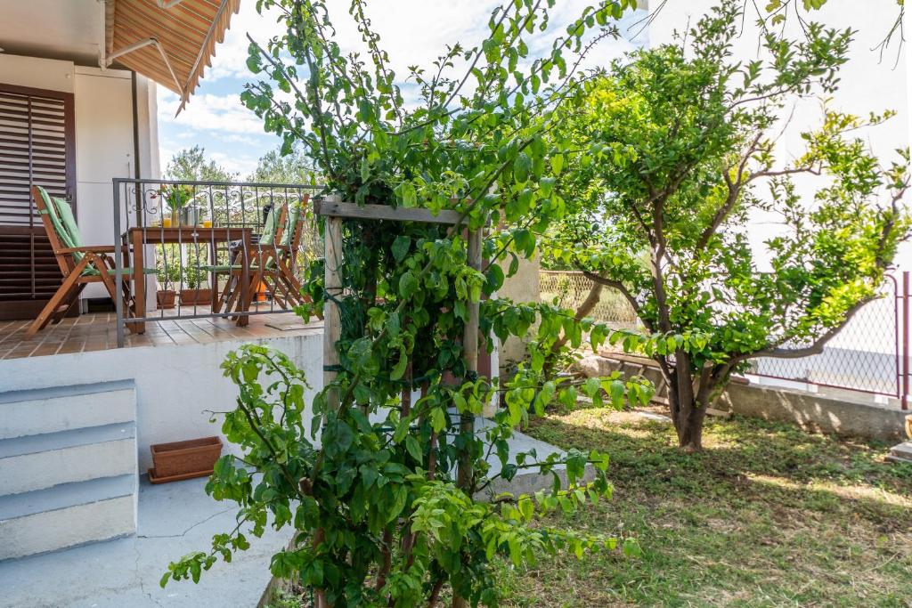 Vonkajšia záhrada v ubytovaní apartman Dag