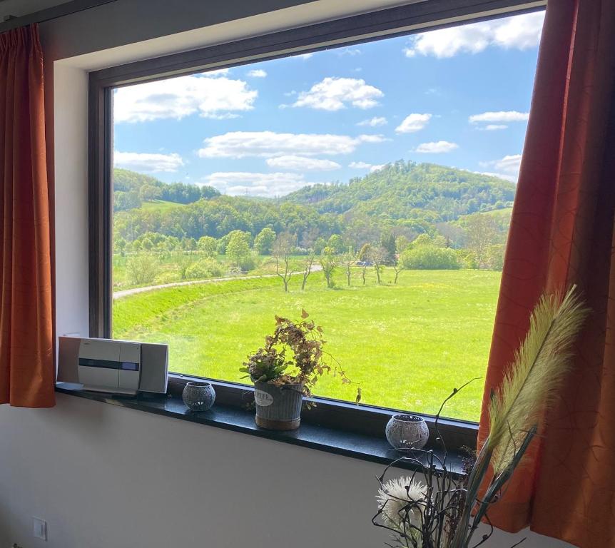 a window with a view of a green field at Ferienwohnung Auenblick in Eisenach