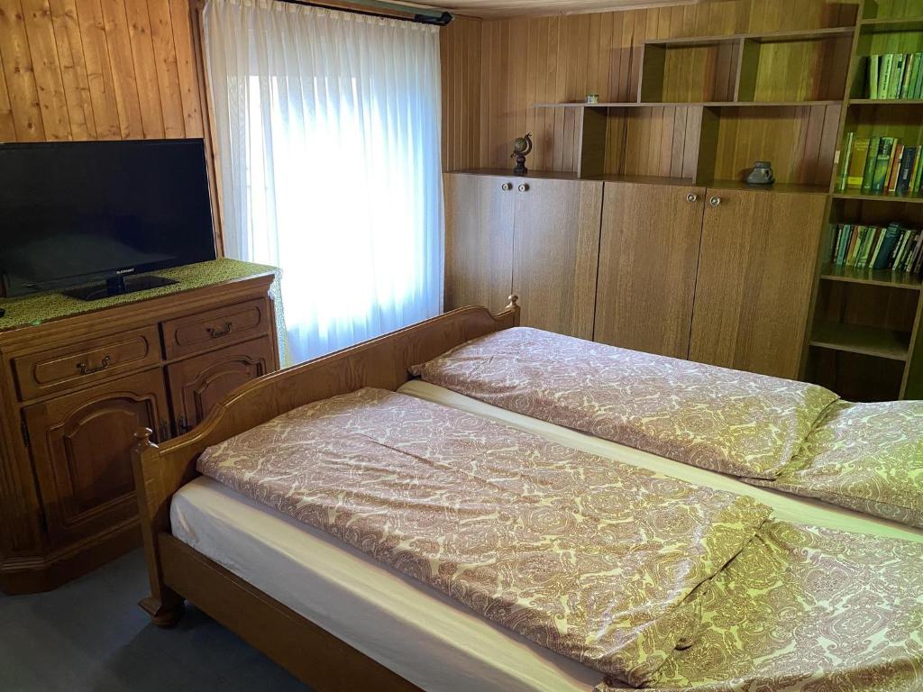 a bedroom with a bed with a television and a book shelf at Ferienwohnung Bongartz in Einbeck