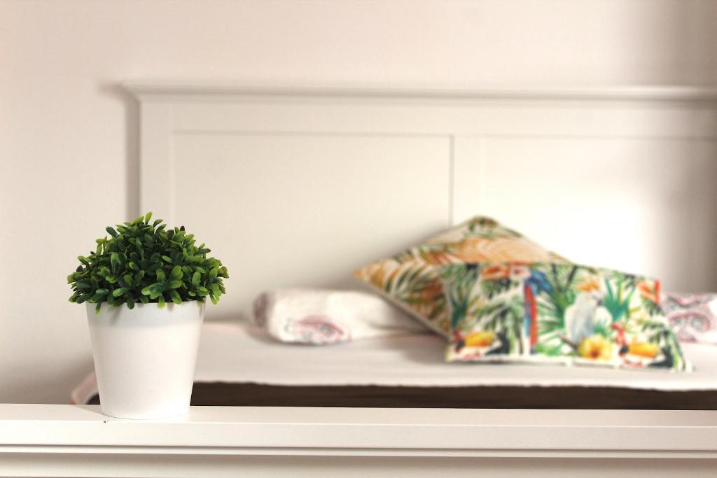 une plante en pot assise sur une étagère à côté d'un lit dans l'établissement Cubo, à Lagos