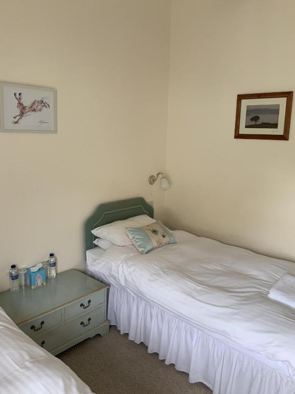 The Carew Arms - Small Twin Room