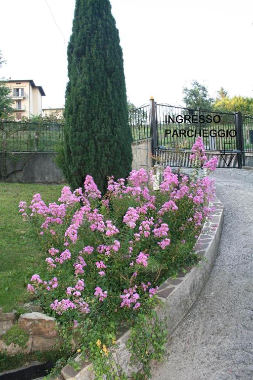 Zahrada ubytování B&B MiraValle
