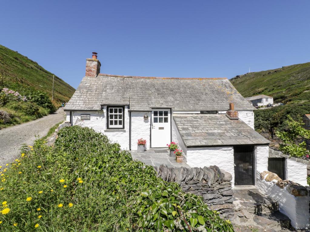 a cottage on a hill with a field of flowers at Harbour Cottage in Boscastle