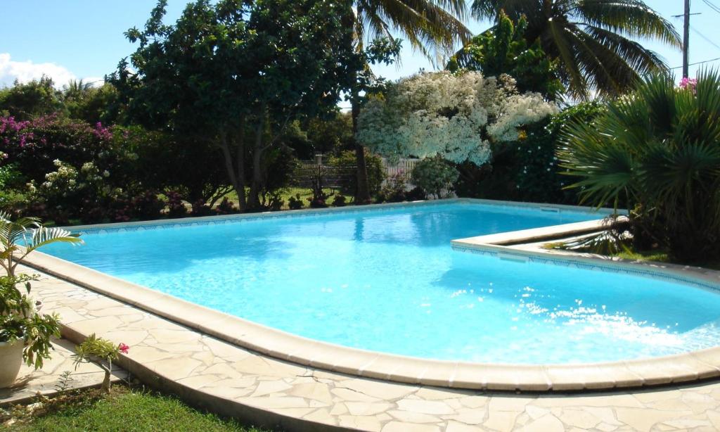 - une piscine dans une cour avec des arbres et des buissons dans l'établissement La Bougainvillée, à Saint-François